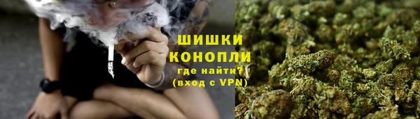 спайс Алзамай