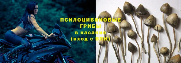 скорость Алексеевка