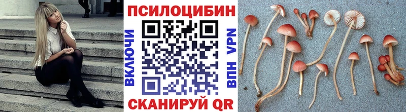 Псилоцибиновые грибы мицелий  Нижние Серги 